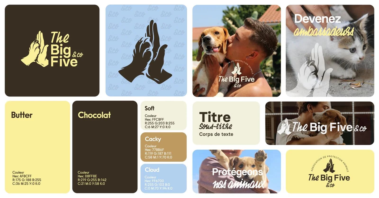 Présentation visuelle de Brise Studio